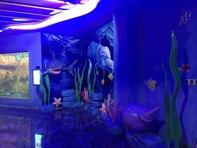 水族館設(shè)施（水族館的設(shè)施設(shè)計(jì)與建造） 水族館百科（水族館加盟） 第5張