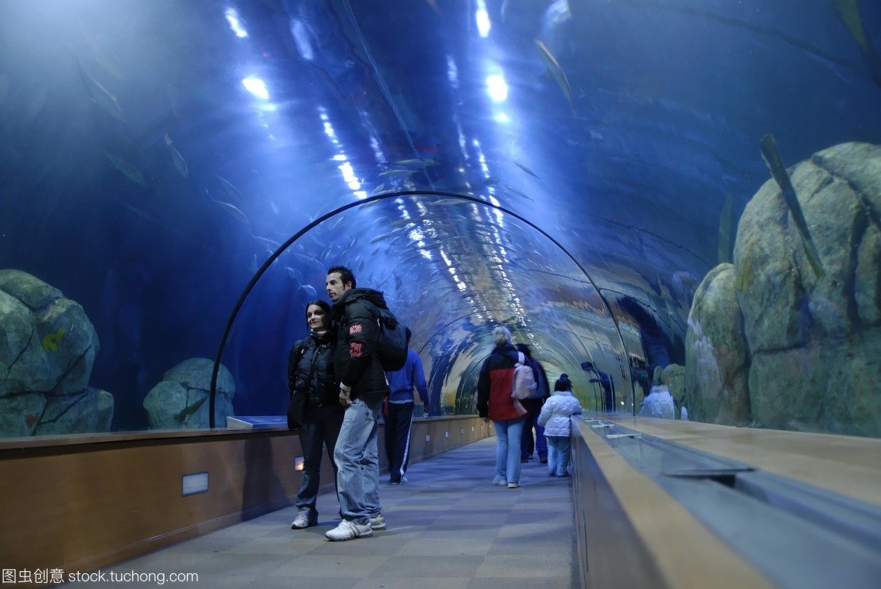 水族館是什么地方的城市（坎布里亞郡水族館的教育項目，全球著名水族館的游客評價） 水族館百科（水族館加盟） 第4張