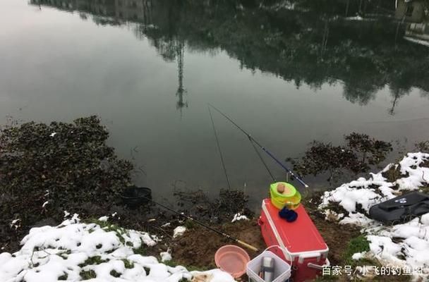 好紅龍魚(yú)幼苗圖片及價(jià)格（好紅龍魚(yú)幼苗的價(jià)格） 水族問(wèn)答 第1張