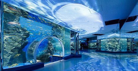 水族館什么意思（水族館不僅是欣賞美麗水生生物的好地方，也是一個(gè)重要的教育項(xiàng)目） 水族館百科（水族館加盟） 第5張