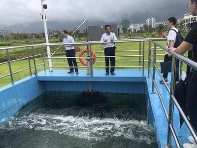 25公分紅龍魚（25公分紅龍魚在魚缸中生活需要什么條件） 水族問答 第1張