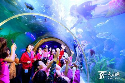 水族館有什么工作內(nèi)容（水族館環(huán)境維護(hù)的創(chuàng)新方法,） 水族館百科（水族館加盟） 第2張