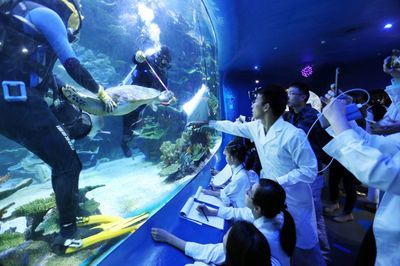 水族館有什么工作內(nèi)容（水族館環(huán)境維護(hù)的創(chuàng)新方法,） 水族館百科（水族館加盟） 第5張