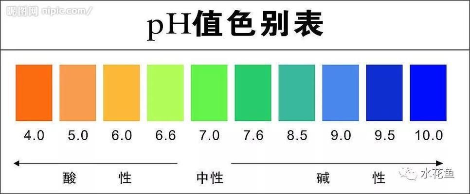 40公分龍魚 1天吃多少（40公分長的龍魚一天能消耗多少食物量？） 水族問答 第1張