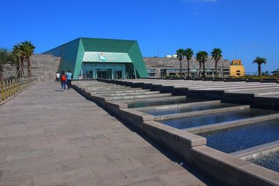 那曲水族館：西藏那曲水族館創(chuàng)業(yè)大賽次仁珠扎創(chuàng)業(yè)萌發(fā)的種子 全國(guó)觀賞魚市場(chǎng) 第2張