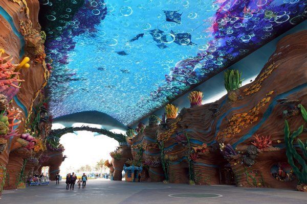 水族館生意怎么樣賺錢：水族館與學校合作模式 水族館百科（水族館加盟） 第2張