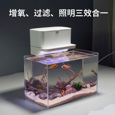 創(chuàng)意魚缸過濾器：創(chuàng)意魚缸過濾器的詳情 魚缸百科 第3張