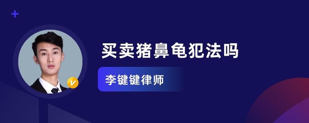 買了一只豬鼻龜犯法嗎：購買豬鼻龜判刑嗎 豬鼻龜百科 第2張