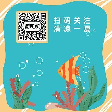 水族館魚缸制作：關(guān)于水族館魚缸制作的網(wǎng)站推薦