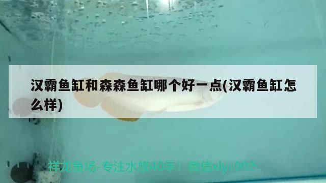 漢霸魚缸質量怎么樣知乎：漢霸魚缸與森森魚缸對比評測