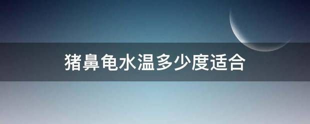 豬鼻龜適合水溫：豬鼻龜冬季保溫方法，豬鼻龜適合什么水溫， 豬鼻龜百科 第9張