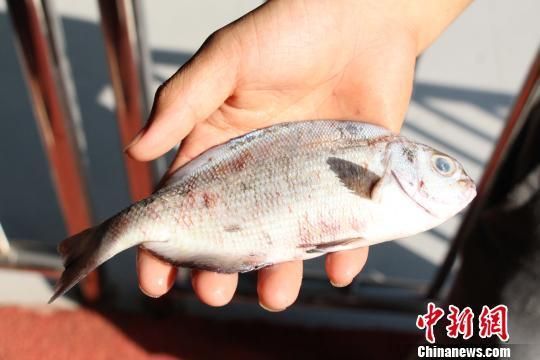 柳州水族館：探索世界，如果你對海洋生物感興趣，不妨來柳州