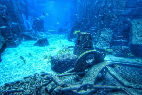 海南哪里有海洋水族館：亞龍灣海底世界門票價(jià)格 水族館百科（水族館加盟） 第4張