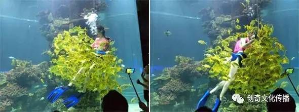 隨州水族館：隨州同的水族館