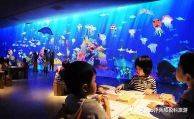 云浮水族館：云浮市云城區(qū)特色水族館 全國(guó)觀賞魚市場(chǎng) 第1張