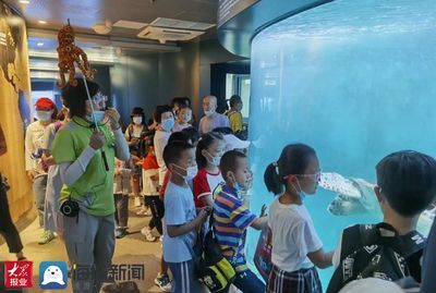 水族館里面有什么：水族館展示海洋哺乳動物的絕佳場所 水族館百科（水族館加盟） 第4張