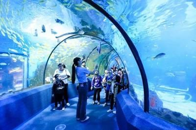 佛山水族館：佛山市昊麗水族館 全國觀賞魚市場 第4張