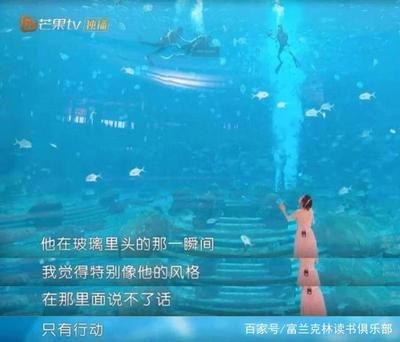 開一家水族館賺錢嗎：開一家水族館是否能夠盈利，這取決于多個(gè)因素取決于多個(gè)因素 水族館百科（水族館加盟） 第5張