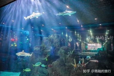 開水族館掙錢嗎知乎：水族館經(jīng)營(yíng)盈利情況探究 水族館百科（水族館加盟） 第3張