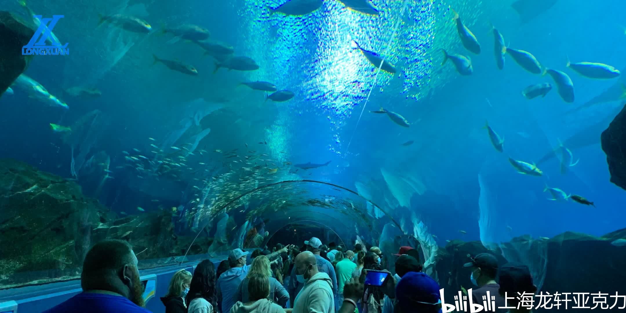 水族館干什么的：水族館是一個(gè)多功能的場(chǎng)所