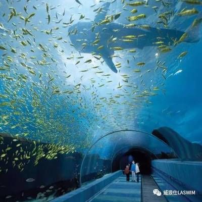 水族館干什么的：水族館是一個(gè)多功能的場(chǎng)所