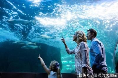 水族館干什么的：水族館是一個(gè)多功能的場(chǎng)所