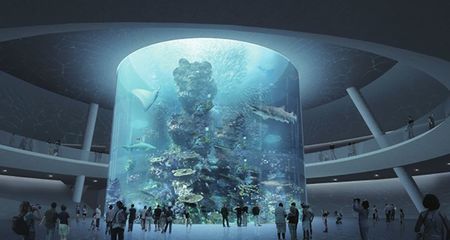 深圳水族館：深圳有什么海洋館