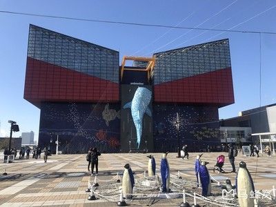 保山水族館：保山水族館史前青蛙真能吃掉恐龍，澳大利亞阿德萊德大學(xué)家發(fā)現(xiàn)