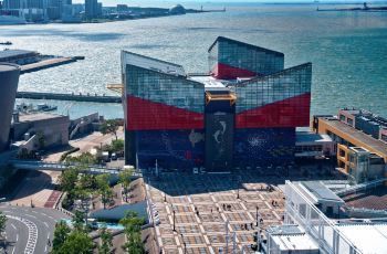 保山水族館：保山水族館史前青蛙真能吃掉恐龍，澳大利亞阿德萊德大學(xué)家發(fā)現(xiàn) 全國觀賞魚市場 第6張