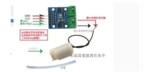 佳路魚(yú)缸傳感器怎么拆視頻：“佳路魚(yú)缸傳感器怎么拆視頻詳情”魚(yú)缸傳感器拆卸方法 魚(yú)缸百科 第5張