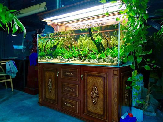 水族館開店：開一家小型水族館的費(fèi)用大約在10萬元到20萬元