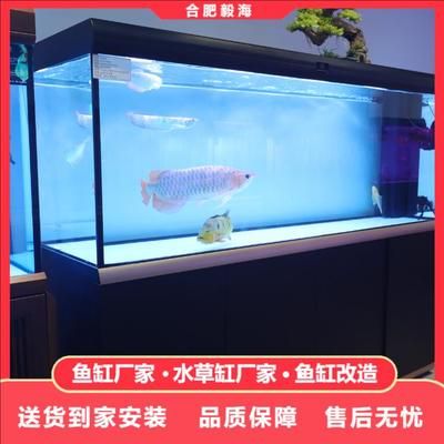 龍魚缸牌子：龍魚缸品牌排行榜