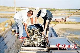 地圖和銀龍魚混養(yǎng)怎么喂食：銀龍魚與地圖魚混養(yǎng)時(shí)需注意兩者的水質(zhì)要求和性格匹配 水族問答 第2張