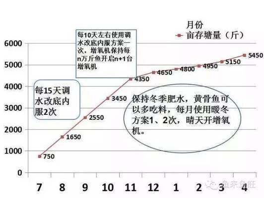 冬季龍魚換水的正確方法：冬季龍魚在換水過程中應(yīng)該注意什么？ 水族問答 第1張