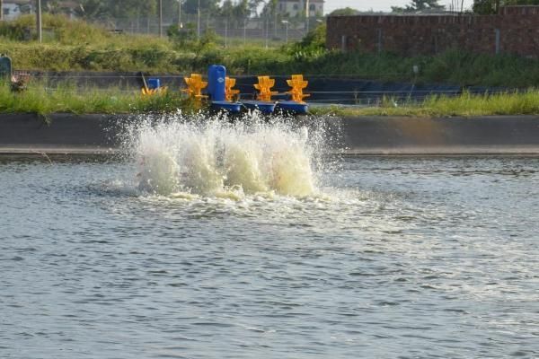 冬天可以給龍魚換冷水嗎：冬天為龍魚更換冷水時需小心謹慎因為水溫急劇變化 水族問答 第3張