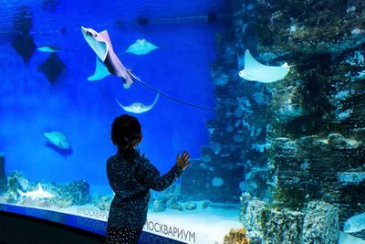 水族館中的魚是什么魚：探討水族館中魚類的多樣性及其對生態(tài)系統(tǒng)的貢獻(xiàn) 水族館百科（水族館加盟） 第4張