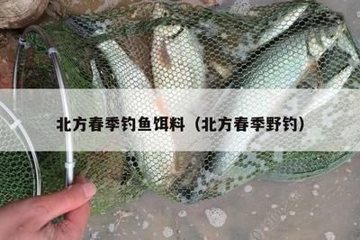 多力和金龍魚哪個牌子好：-回答：多力和金龍魚哪個品牌的油更適合健康飲食 水族問答 第1張