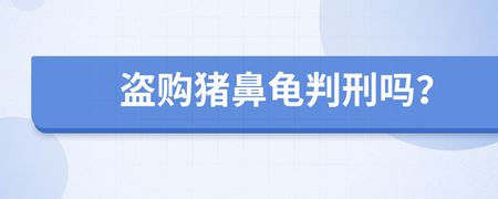 買豬鼻龜判刑：買賣豬鼻龜判刑么 豬鼻龜百科 第2張