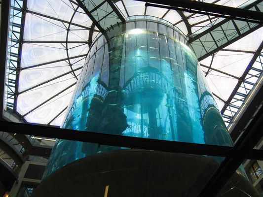 高陵水族館：世界上最大的水族館之一高陵哪里有水族館 全國(guó)觀賞魚市場(chǎng) 第5張