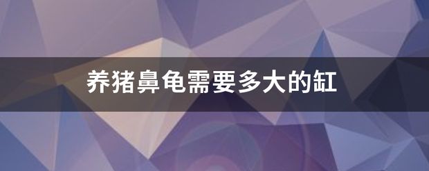 養(yǎng)豬鼻龜要多大的魚缸：養(yǎng)豬鼻龜需要多大的魚缸才能養(yǎng)活它 豬鼻龜百科 第5張