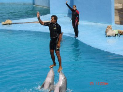 水族館是干什么的呢：水族館主要功能和作用 水族館百科（水族館加盟） 第3張