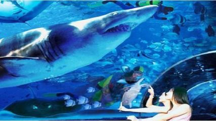 保定水族館：保定旅游攻略保定水族館