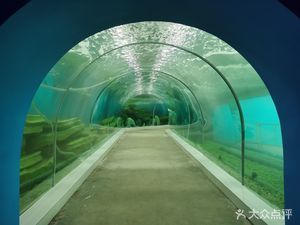 保定水族館：保定旅游攻略保定水族館 全國(guó)觀賞魚市場(chǎng) 第10張