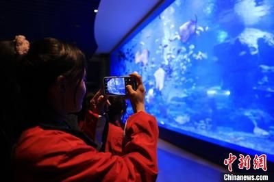 水族館的利潤有多大：上海海洋水族館開設(shè)水族館投資成本構(gòu)成詳解水族館利潤詳解 水族館百科（水族館加盟） 第1張