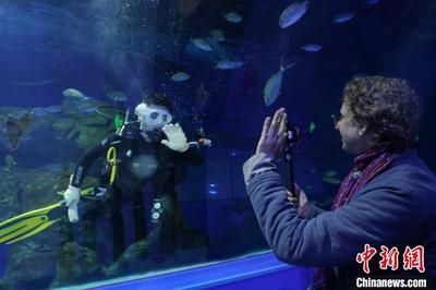 水族館的利潤有多大：上海海洋水族館開設(shè)水族館投資成本構(gòu)成詳解水族館利潤詳解 水族館百科（水族館加盟） 第4張