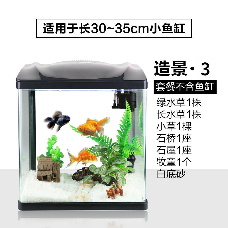 20cm金龍魚一天喂幾次飼料：20cm金龍魚每天的飼料喂養(yǎng)次數(shù)和量需根據(jù)其成長階段進(jìn)行適當(dāng)調(diào)整 水族問答 第1張