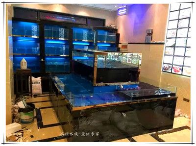 海都智能海鮮魚缸：海都智能海鮮魚缸技術參數(shù)對比智能海鮮魚缸市場評價 魚缸百科 第4張