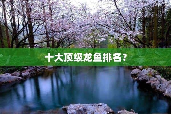 什么品種龍魚最好養(yǎng)活：星點(diǎn)龍魚的選購技巧指南， 龍魚百科 第4張