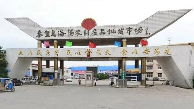 秦皇島水族批發(fā)市場：秦皇島水族批發(fā)市場在哪里秦皇島魚缸水族用品批發(fā)市場在哪里 全國觀賞魚市場 第3張