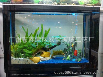 歐寶魚缸廠家介紹圖片及價(jià)格：歐寶魚缸用戶評(píng)價(jià)匯總 魚缸百科 第5張